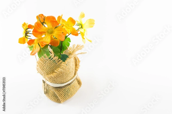 Obraz plastic flower in bloom pot