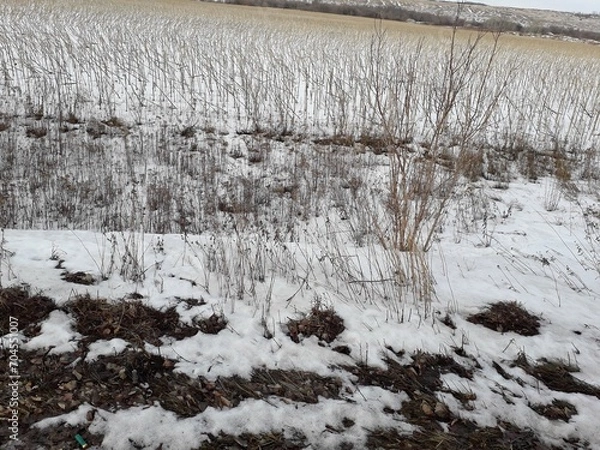 Fototapeta landscape with snow