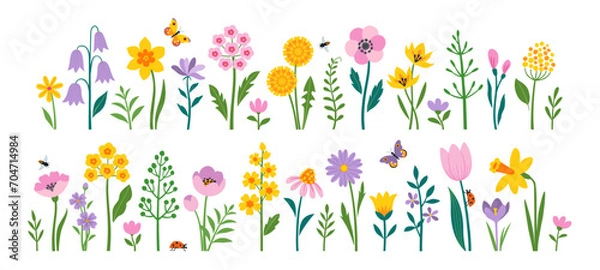 Fototapeta Vector set of spring Easter flowers and insects in flat style isolated on white background. 