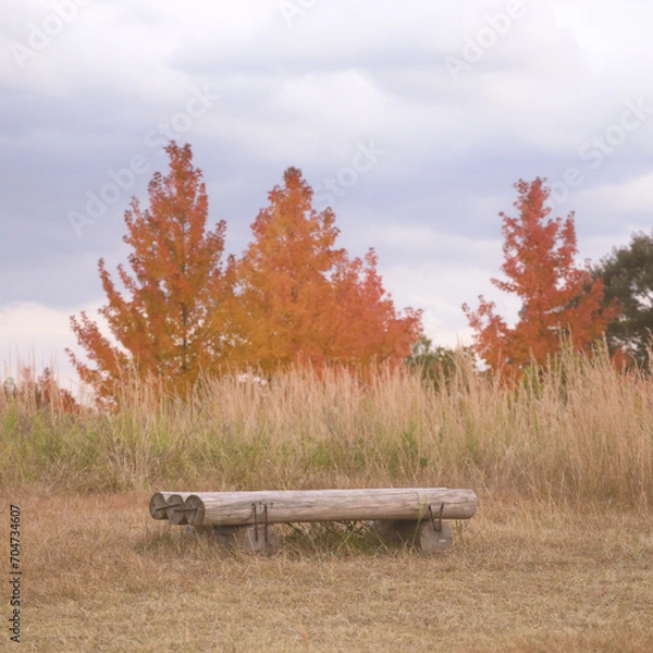 Obraz 日本の秋をイメージした画像