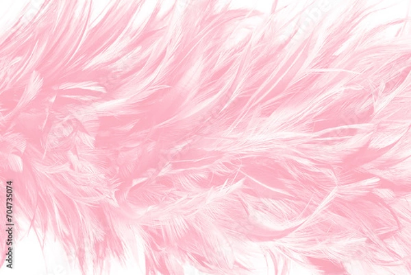 Fototapeta Beautiful soft pink feather pattern texture background