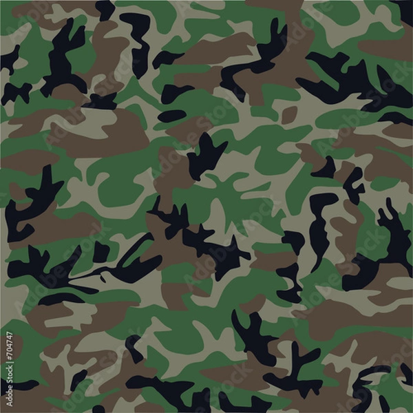 Obraz camouflage pattern