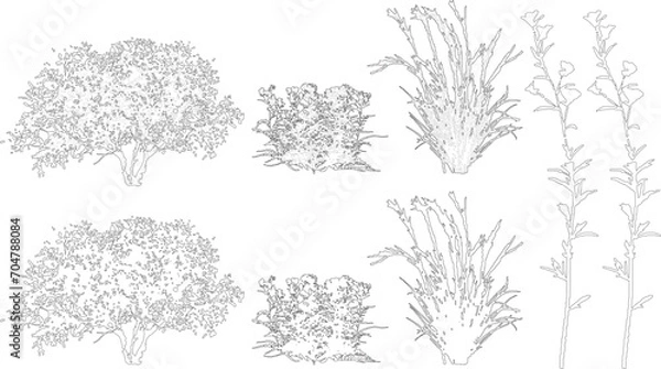 Obraz Plant elevation line silhouettes outline - grass, shrub, tree