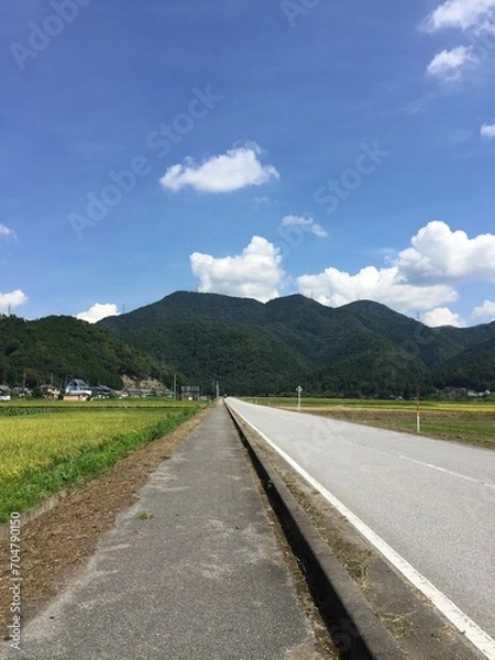 Obraz 田舎の真っすぐな道路と田畑