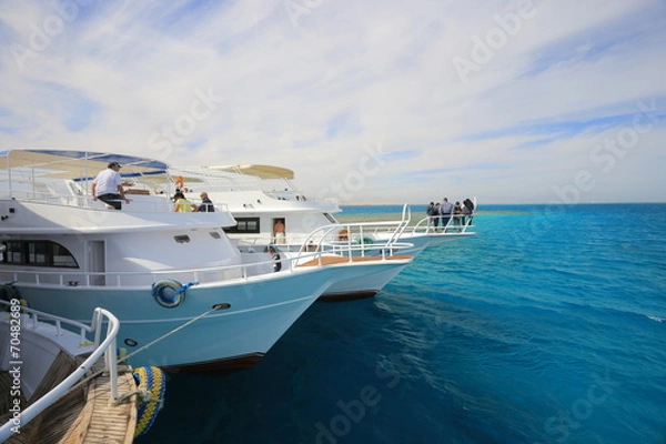 Fototapeta Moored Yachts