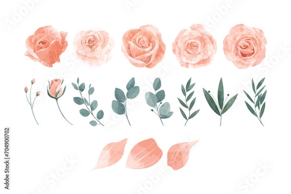 Obraz Peach Rose Flower Illustration Set
