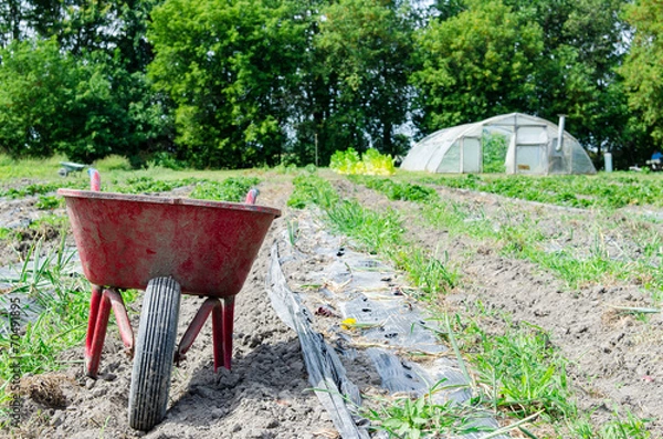 Fototapeta Wheelbarrow