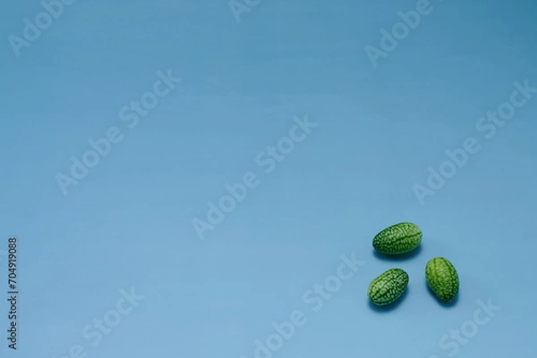 Obraz マイクロきゅうりを数粒右下に配置した青色系背景あり俯瞰撮影