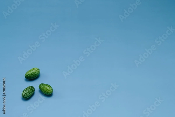 Obraz マイクロきゅうりを数粒左下に配置した青色系背景あり俯瞰撮影