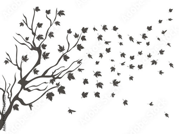 Obraz klony spadające w tle