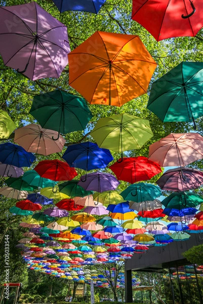 Obraz 高崎区役所のアンブレラスカイ