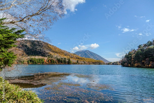 Obraz 秋の奥日光湯の湖