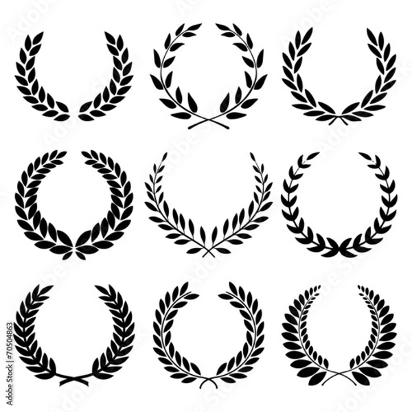 Obraz Wreńki laurowe