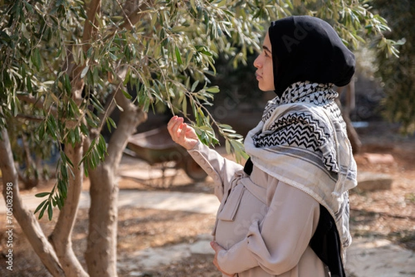 Fototapeta Female holding branch of olive tree while wearing palestinian keffiyeh in the field