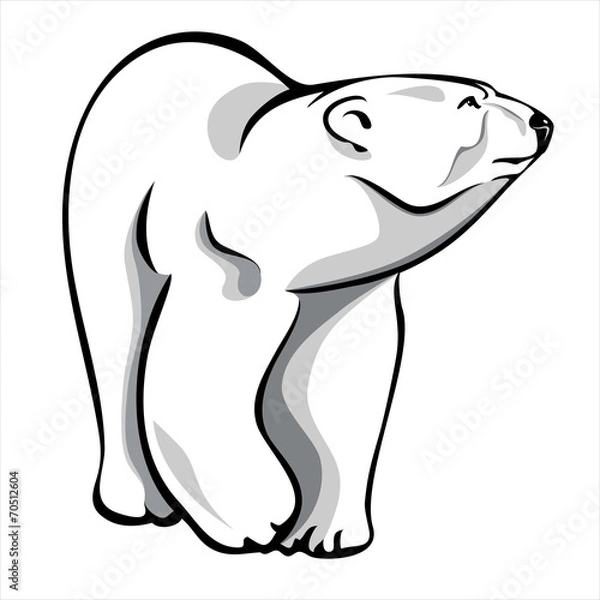 Obraz polar bear 2