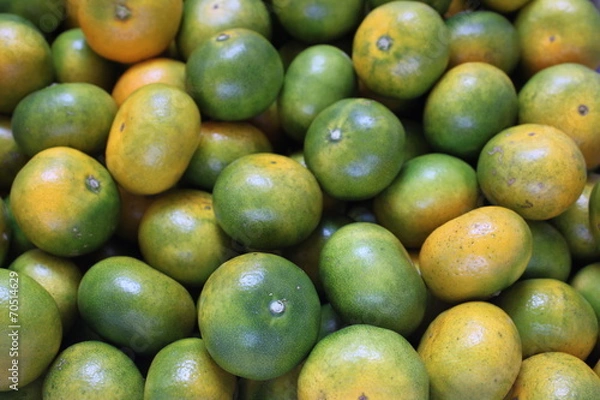 Fototapeta みかん