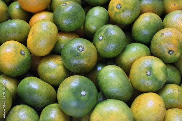 Fototapeta みかん