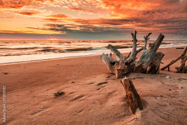 Obraz Gorgeous sunset