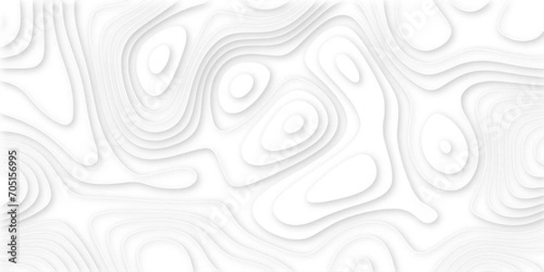 Fototapeta 3d render, abstract white paper background. Paper cut vector art background banner texture. multi layer cutout geometric pattern on vector, Abstract soft white background with waves.