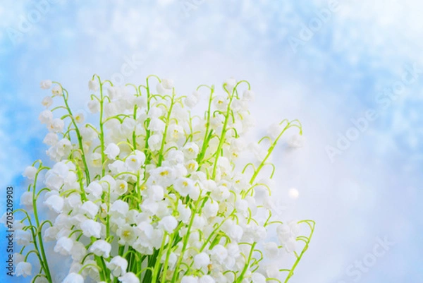 Fototapeta Blurred floral natural background. Soft focus. Spring landscape. flowers lily of the valley