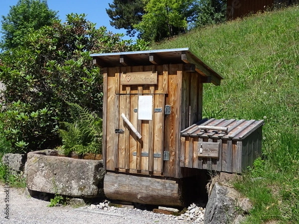 Obraz Schnapsbrunnen in black forest Germany