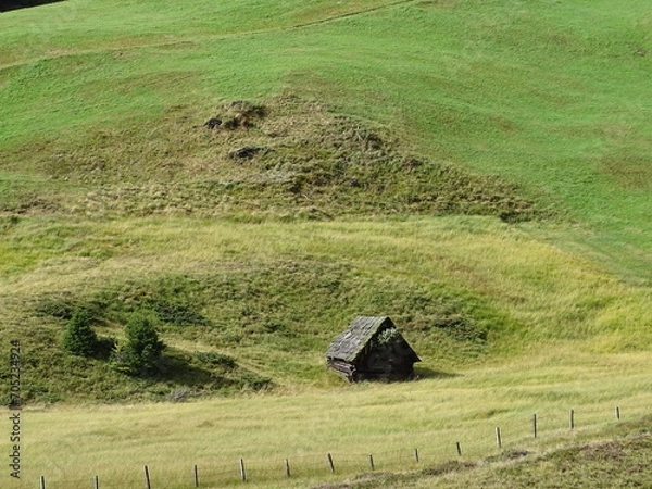 Obraz Hut on an alpin meadow
