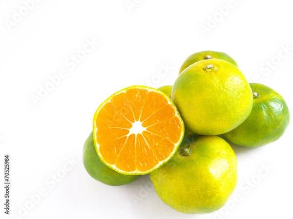 Obraz 温州みかん