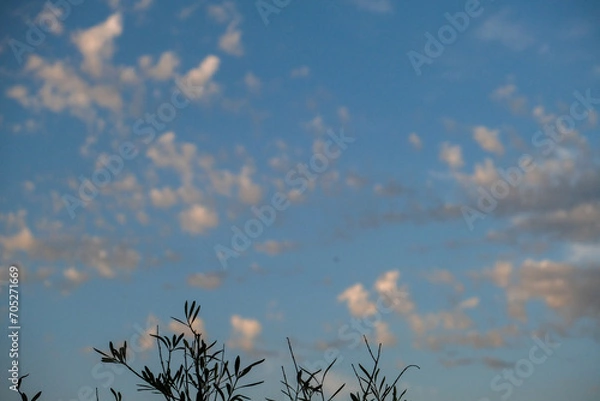 Obraz Blue sky background with clouds