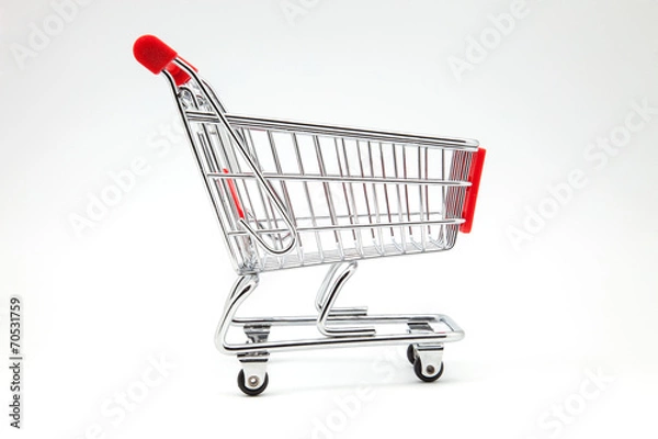 Obraz carro de la compra