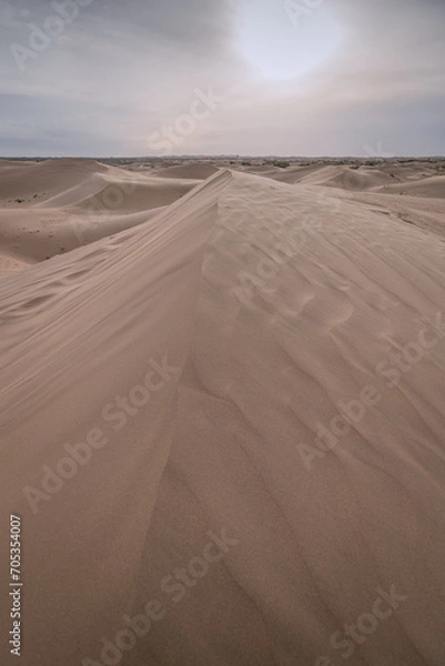 Fototapeta Close up background on the desert sand in Inner Mongolia, China.