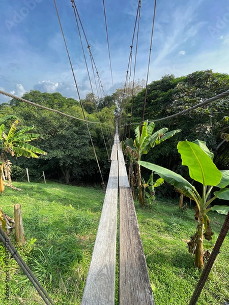 Fototapeta suspension bridge over a river in the jungle