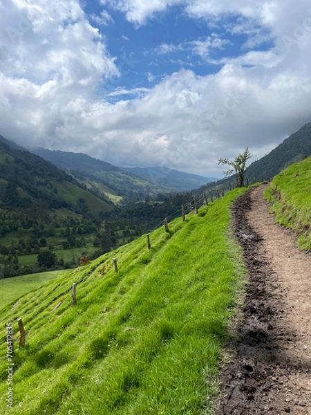 Fototapeta Cocora Valley in Colombia looking out into the majestic mountain valley hillside while walking on a horse trail.