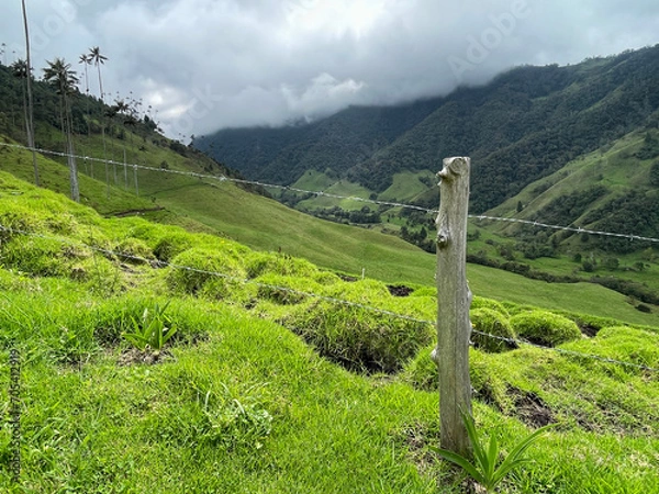 Fototapeta Countryside landscape with grass and clouds in Cocora Valley 