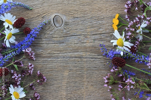 Obraz Wild flowers on an old wooden background