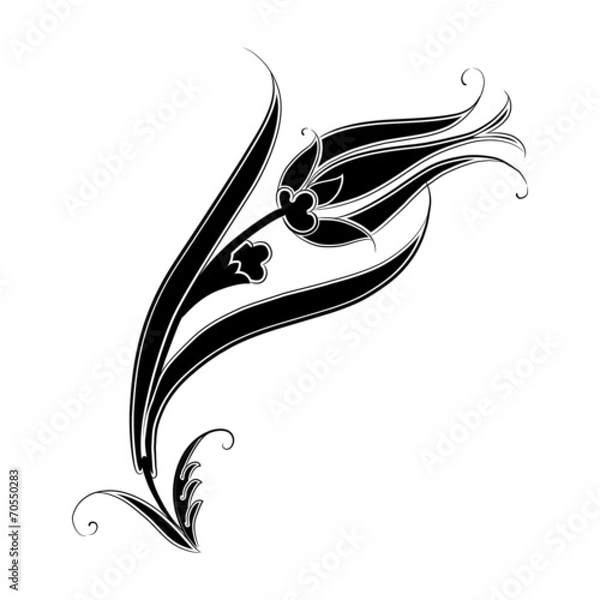 Fototapeta Rysowanie wzoru Black Tulip Motif Motile
