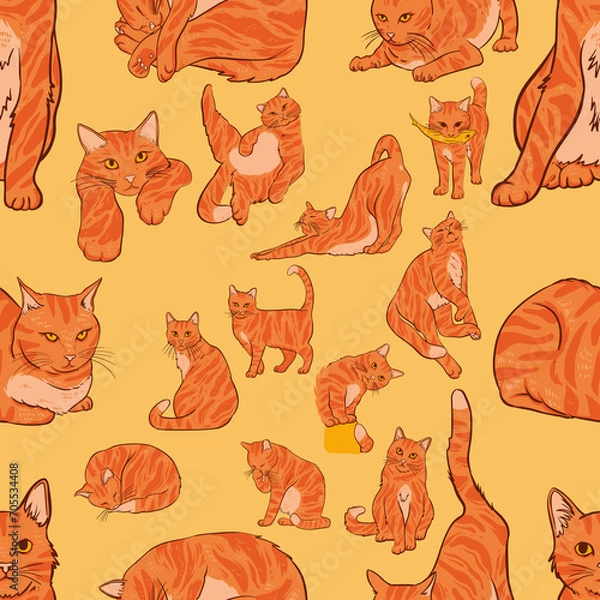 Obraz ORANGE CAT PATTERN