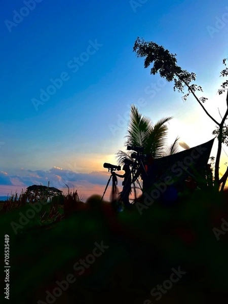 Obraz trees at sunset ,silhouette landscape