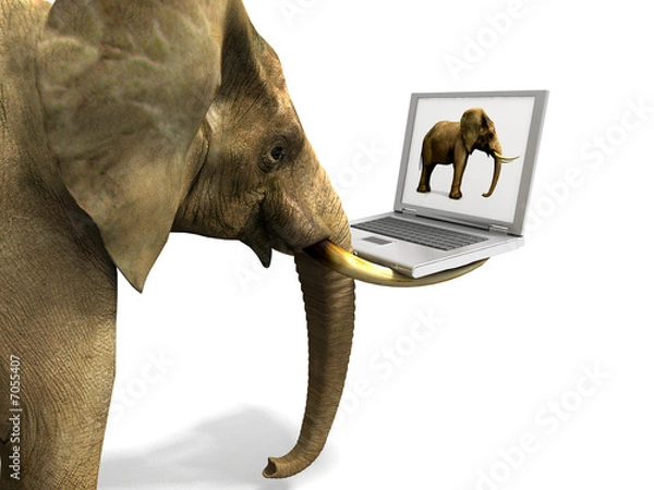 Obraz Elephant and Laptop
