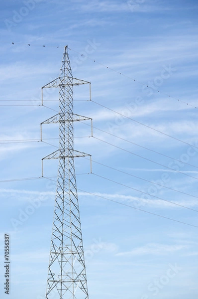 Fototapeta Power line
