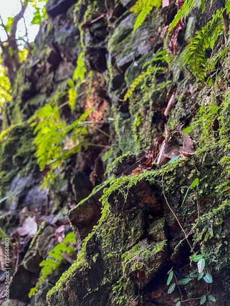 Fototapeta 静けさのなかで。