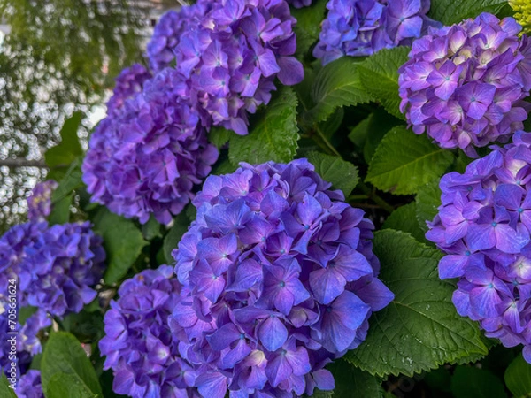 Fototapeta 雨のち晴れ