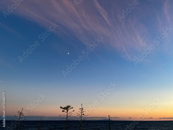 Fototapeta 素敵なひとときを。