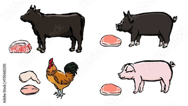 Obraz 牛、豚、鳥のイラストセット　食肉用家畜と精肉のイラスト
