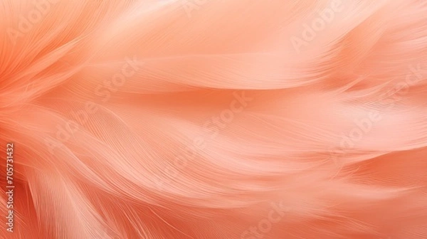 Fototapeta Peach fuzz background with feather texture