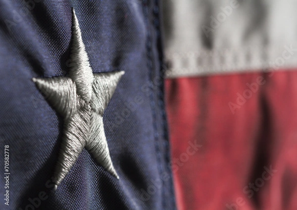 Obraz Texas State Flag