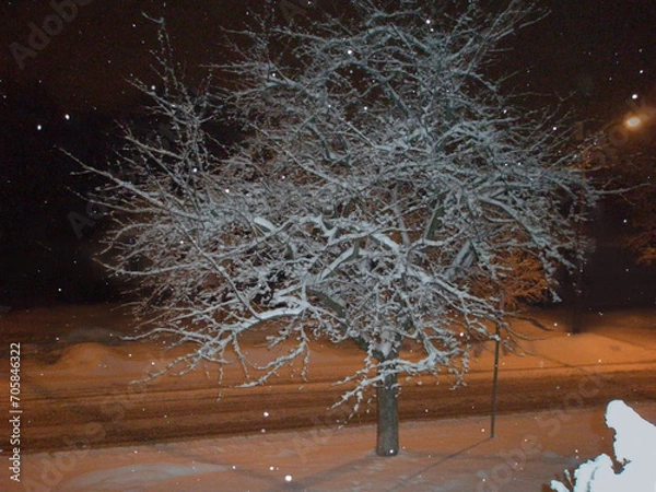 Fototapeta Winter landscape with tree branches covered in snow in day and night