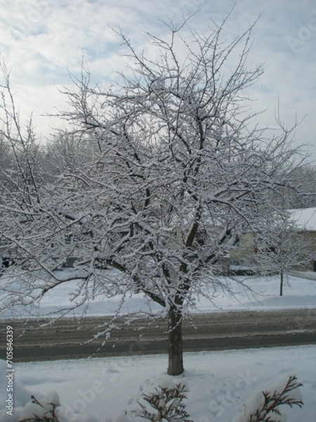 Fototapeta Winter landscape with tree branches covered in snow in day and night