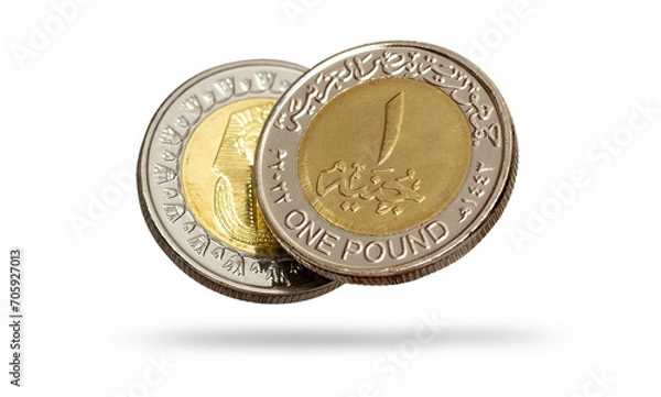 Fototapeta One Egyptian Pound Flying, Two Faces, Isolated on White Background