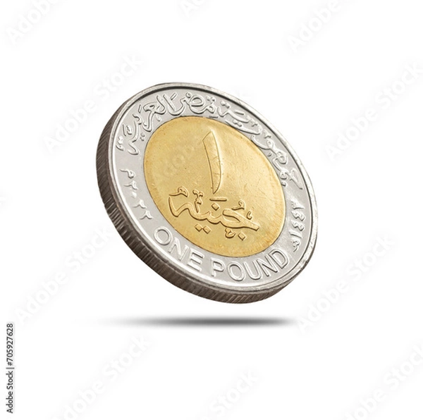 Fototapeta One Egyptian Pound Falling, Front Face, Isolated on White Background