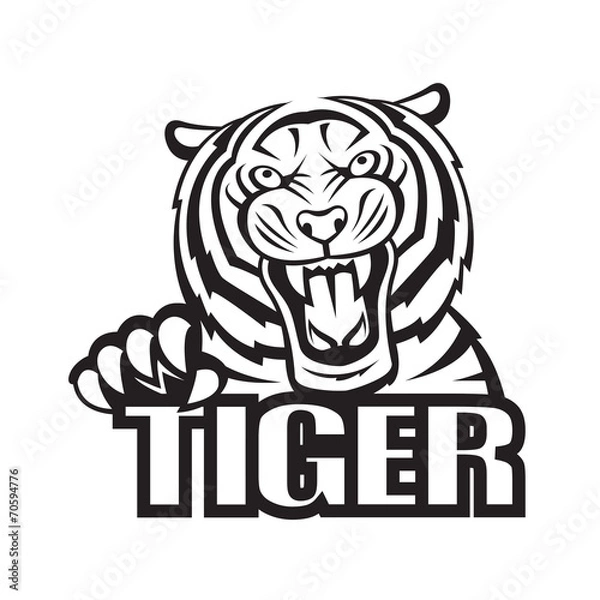 Fototapeta monochrome vector illustration of a tiger